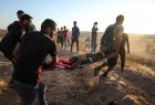 Israel killed 253 Palestinians during Great March of Return