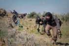 هلاکت چندین تروریست در درگیری با یکدیگر در سوریه