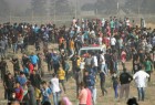 زخمی شدن چند فلسطینی توسط نظامیان صهیونیست