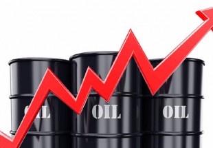 Oil prices down despite Saudi export cuts