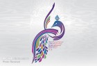 برپایی محفل شاعران در شهر زنجان