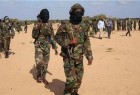US military claims 52 Shabab militants killed in Somalia airstrikes