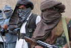طالبان يستحيل الاتفاق مع واشنطن على وقف إطلاق النارالابلانسحاب من افغانستان