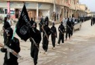 اعضای فرانسوی داعش به کشورشان بازگردانده می‌شوند