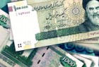 در مبادلات مالی با ایران بر «ریال» و «روبل» تمرکز می‌کنیم