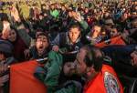 ۲ شهید و ۱۷ زخمی در تظاهرات بازگشت فلسطینی ها