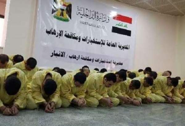 الاستخبارات العراقية تلقي القبض على 186 إرهابيا في الأنبار