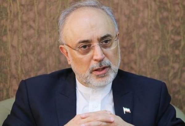 ​رئیس سازمان انرژی اتمی: ایران به 15 کشور «رادیودارو» صادر می کند