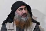 همکاری همسر یکی از سرکردگان داعش با سازمان سیا برای تعقیب البغدادی