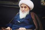 واکنش ها به رحلت آیت الله محقق کابلی در افغانستان