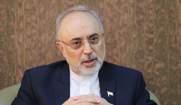 صالحي: القطاع النووي أثمر عن الاقتدار العلمي وتنمية التقنية والصناعة في ايران