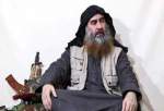 نهادهای اطلاعاتی عراق: ابوبکر البغدادی فلج شده و در سوریه است