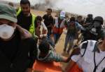 إصابة 49 فلسطينيا في جمعة "مجزرة وادي الحمص" شرق قطاع غزة