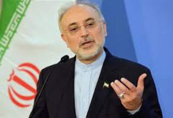 پابندیوں ی صورت میں، ایران  معاہدوں کا پابند نہں،علی اکبر صالحی