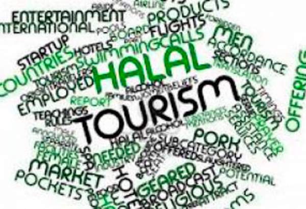 ارزش گردشگری اسلامی به ۲۲۰ میلیارد دلار تا سال ۲۰۲۰ می رسد
