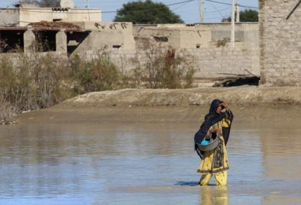 1000 میلیارد ریال خسارت سیل به شیلات سیستان و بلوچستان