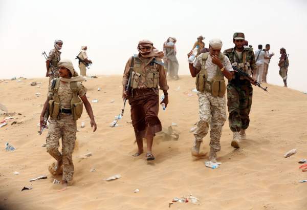 آزادسازی تروریست های القاعده از زندان های امارات در یمن