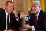 گفت‌وگوی تلفنی اردوغان و ترامپ درباره تحولات ادلب