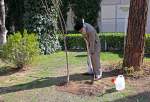 Supreme Leader of Islamic Republic, Seyyed Ali Khamenei, plants two saplings on national Tree Planting Day