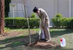 Supreme Leader of Islamic Revolution Ayatollah Khamenei planting a saplin on March 2, 2020.
