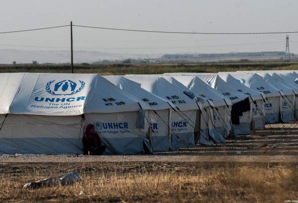Coronavirus: Calls for evacuating Greek refugee camps