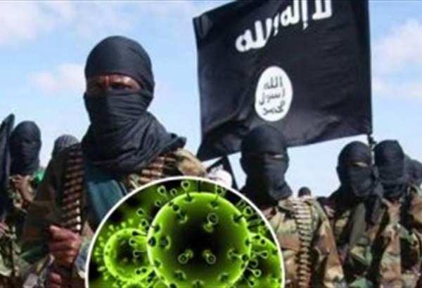 سوءاستفاده داعش از شیوع کرونا برای بازگشت به عراق