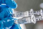 محققان چینی، مدعی آزمایش موفق واکسن کرونا روی میمون شدند