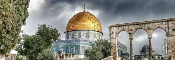 تحرير فلسطين والصلاة في المسجد الأقصى أمنية ستتحقّق حتماً بالمقاومة والصمود  