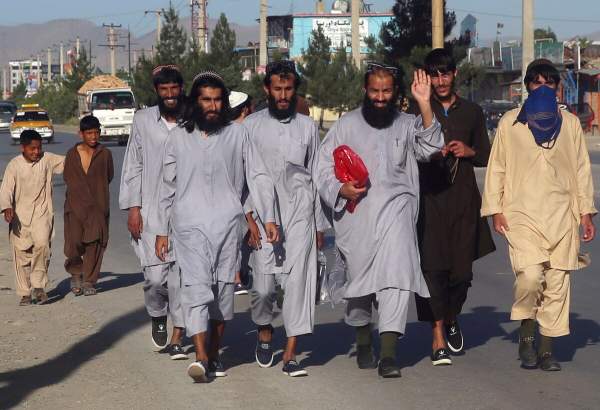 طالبان نے 80 افغان فوجی رہا کردیئے