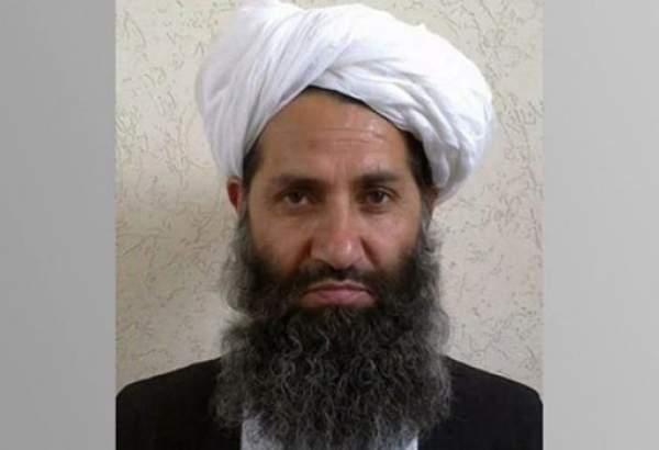 ابتلای رهبر طالبان به کرونا تکذیب شد