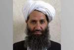 ابتلای رهبر طالبان به کرونا تکذیب شد