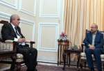 تاکید قالیباف بر توسعه مناسبات اقتصادی تهران - مسکو در دیدار سفیر روسیه