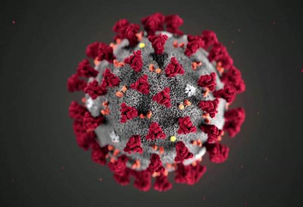کورونا وائرس زیادہ عرصہ ماحول میں زندہ رہ سکتا ہے