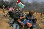 زخمی شدن ده‌ها فلسطینی در تظاهرات علیه شهرک‌سازی