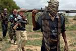 کشته شدن 18 غیر نظامی در حمله بوکوحرام به روستایی در کامرون