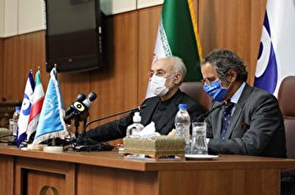 صالحی: زيارة غروسي لطهران ستسهم في تعزيز التعاون المشترك بين ايران والوكالة الدولية