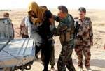 دستگیری ۲۴ تروریست داعشی در نینوای عراق