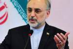 صالحی: ایران برای اجرای تعهدات هسته‌ای خود مشکلی ندارد