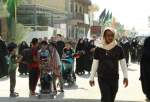 راهپیمایی زائران اربعین در مسیر نجف اشرف به کربلای معلی  