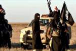 انتقال داعش به شمال آفریقا/ گسترش فعالیت‌های «گرگ‌های تنها»