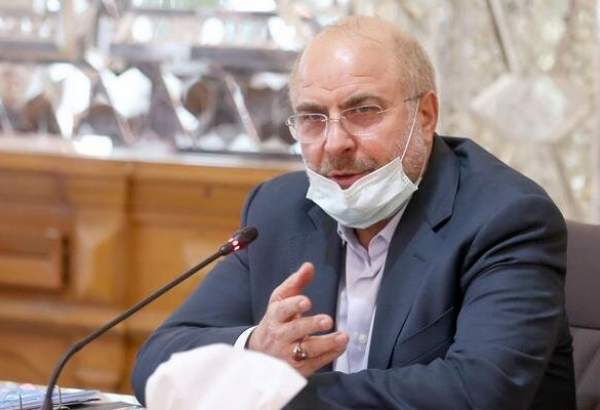 ایرانی پارلیمنٹ اسپیکر کی فرانس کی مذمت۔