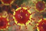آثار مخرب ویروس کرونا بر مناسبات بین الملل