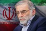 وزارت خارجه ارمنستان ترور دانشمند هسته ای ایران را محکوم کرد