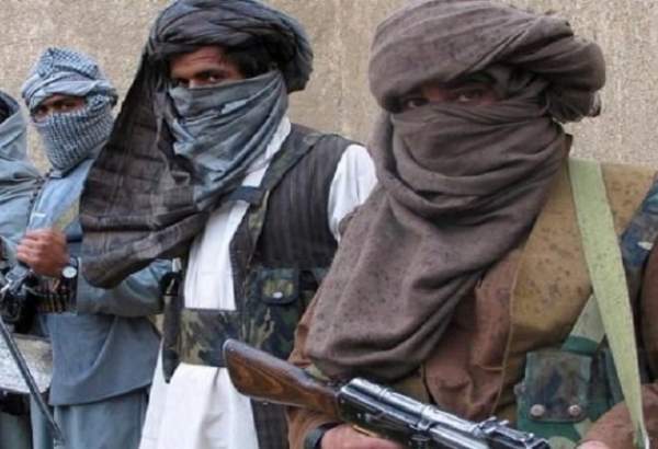 کشته شدن ۳۸ عضو طالبان در قندهار