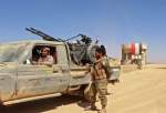 موفقیت نیروهای ارتش یمن علیه گروه تروریستی داعش در تعز