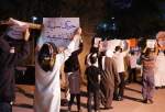 Bahraini protesters mark 10th anniversary of uprising (photo)  
