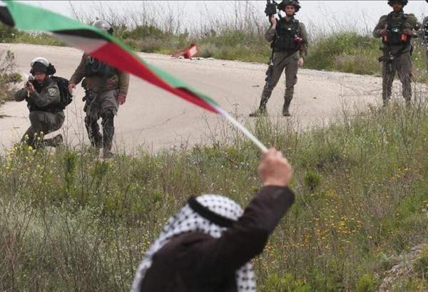 Palestinian anti-settlement protesters injured in West Bank