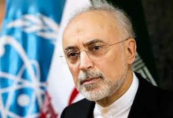 Ali Akbar Salehi, head of the Atomic Energy Organization of Iran (photo)
