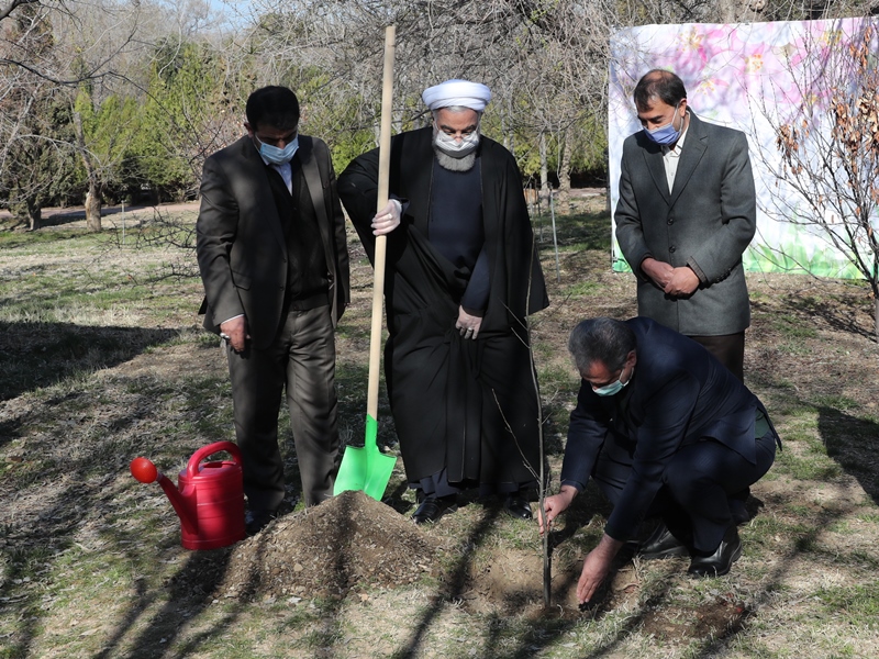 الرئيس روحاني يغرس شتلة بمناسبة يوم الشجرة