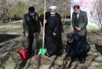 الرئيس روحاني يغرس شتلة بمناسبة يوم الشجرة